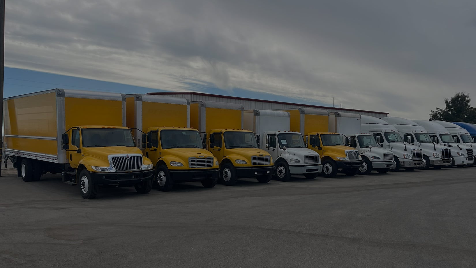 box trucks at Alpine Truck Sales